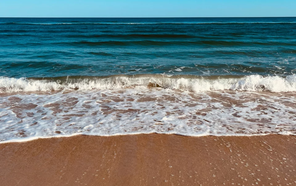 pasqua marina di ravenna